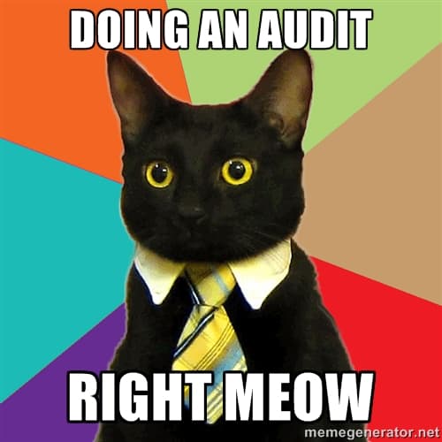 audit SEO Meme