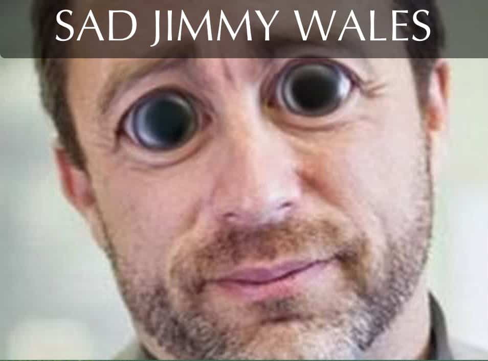 jimmy wales SEO Meme