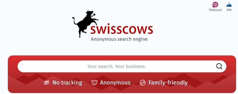 #2 Swisscows top search engine that doesn't track you