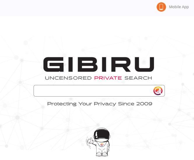 #8 Giburu search engine