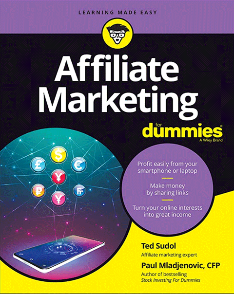 Second best affiliate marketing book for beginners: Dummies Edition