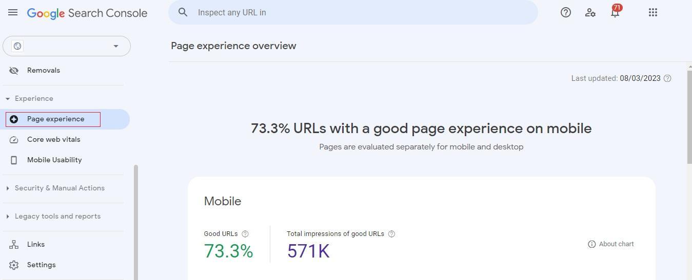 Step 4: Google Search Console Mobile Website Test Page Experience tab