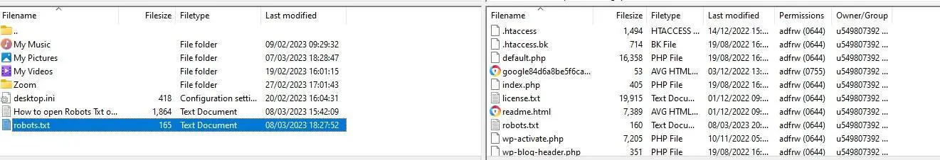 WordPress FTP Client Filezilla INterface