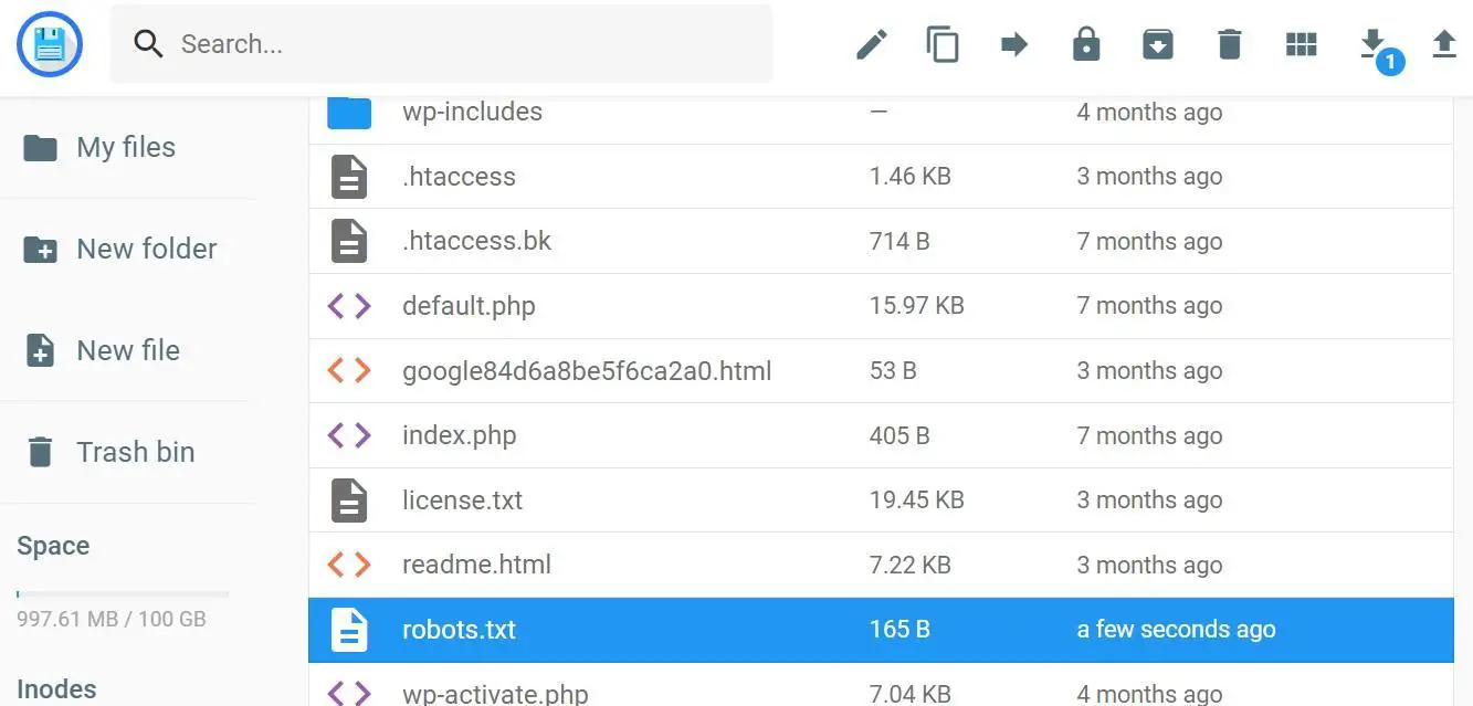 Hostinger WordPress Robots.txt File Location