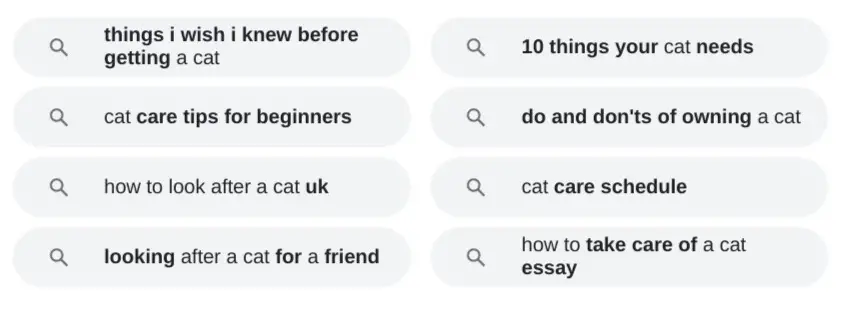 Alternative search terms in Google