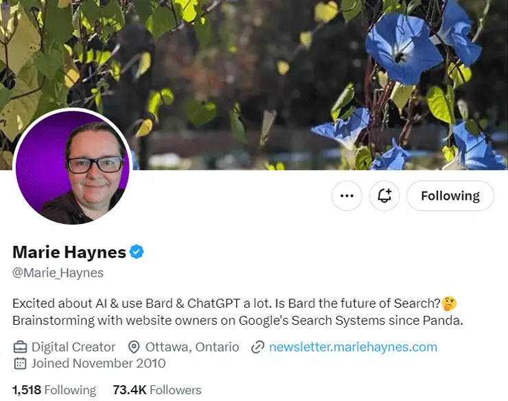Marie Haynes SEO influencer